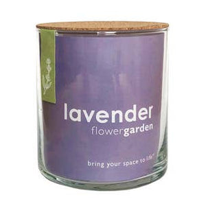 Essential | Lavender Flower Garden