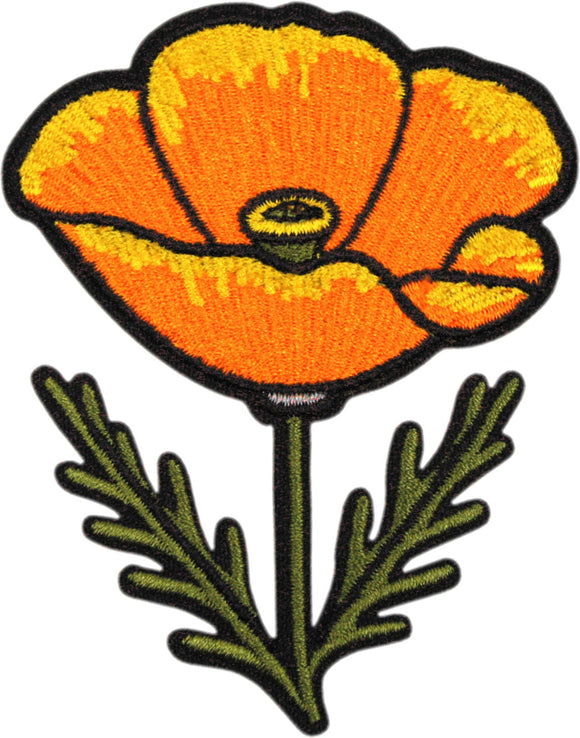 Golden Poppy Patch