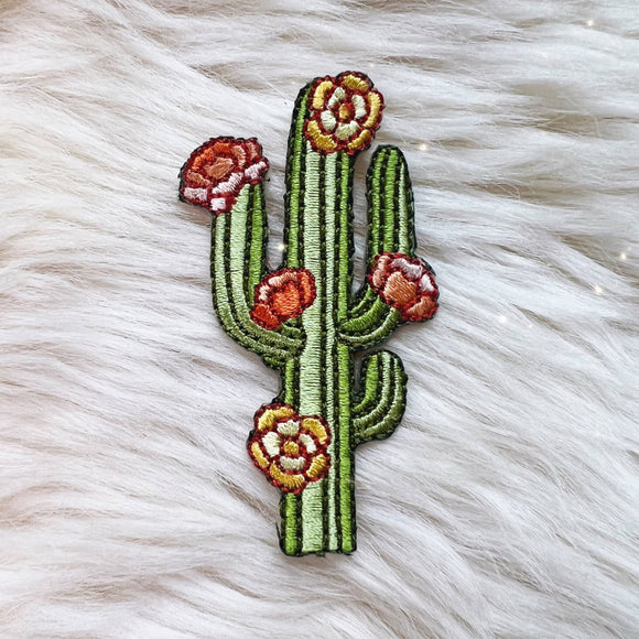 Saguaro Cactus Patch