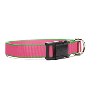 Chelsea Collar Pink/Green